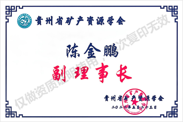 陈金鹏 副理事长